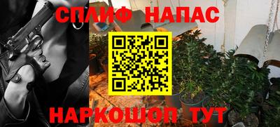гашик Берёзовский