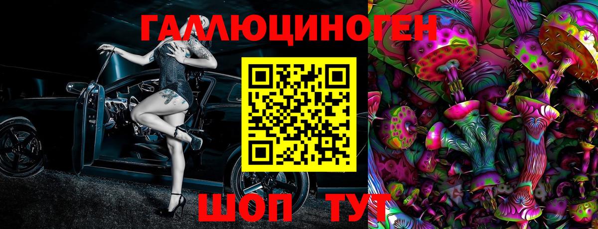 Псилоцибиновые грибы Psilocybe  Вход с VPN  Зеленогорск 