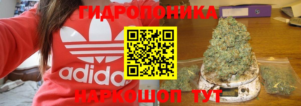 Марихуана план  Вход с VPN  Зеленогорск  Конопля гибрид  Бошки марихуана AK-47 